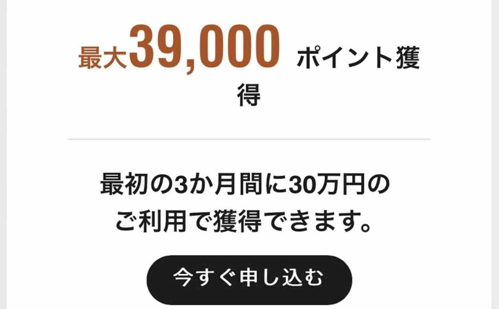 公式サイトは39,000ポイント